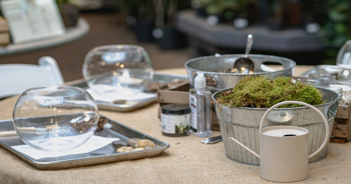 Succulent Terrariums Longwood Gardens